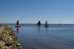 Kaper — photo 8